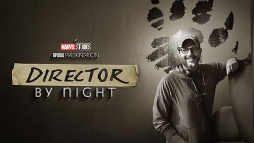 Director by Night Bild 8