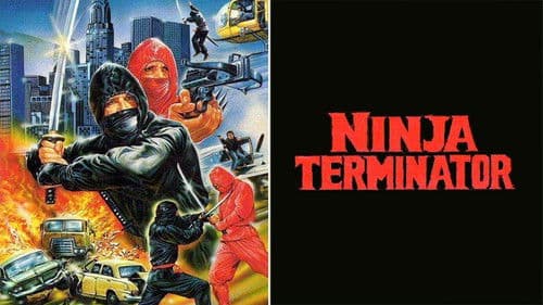Ninja Terminator Bild 5