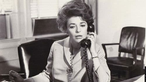 Stimme am Telefon Bild 1