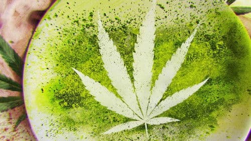 Cooked With Cannabis Bild 2