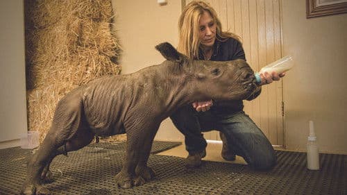 Stroop: Journey into the Rhino Horn War Bild 1