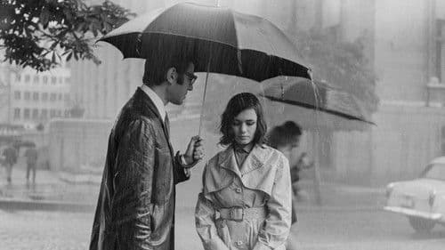 Процесът Bild 1