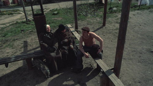 Wolkenparadies Bild 7