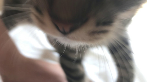 Legítima Defesa Bild 3