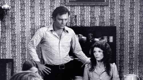 All die netten Fremden Bild 3