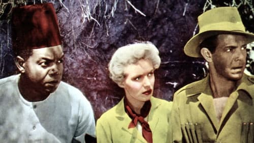 Geheimkommando Afrika Bild 1