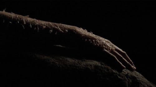 Go Tell It To The Mountain Bild 1