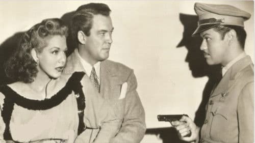 Bombay Clipper Bild 2