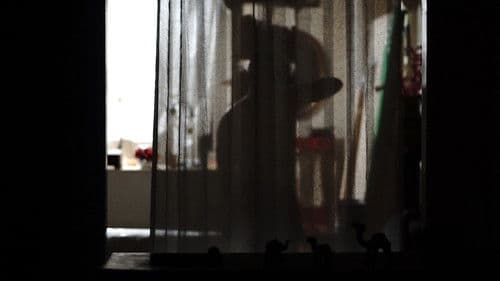 Birth of Venus Bild 2