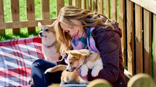 A Royal Corgi Christmas - Weihnachten wird königlich Bild 3