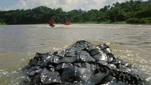 Killer Crocodile II - Die Mörderbestie Bild 1