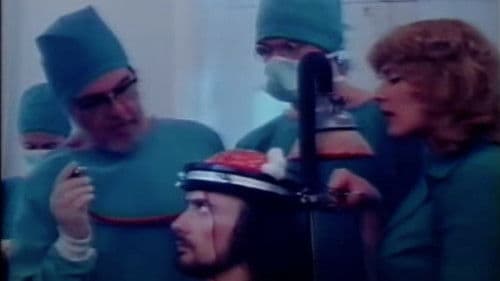 Hvem har bestemt? Bild 1