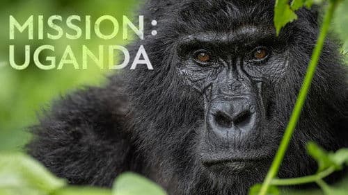 Mission: Uganda Bild 5