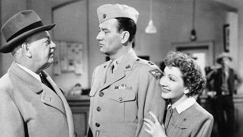 Without Reservations Bild 8