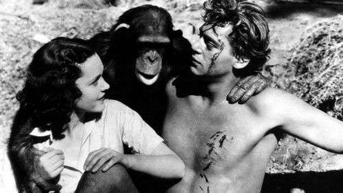 Tarzan, der Affenmensch Bild 8
