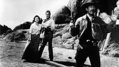 Um Kopf und Kragen Bild 8