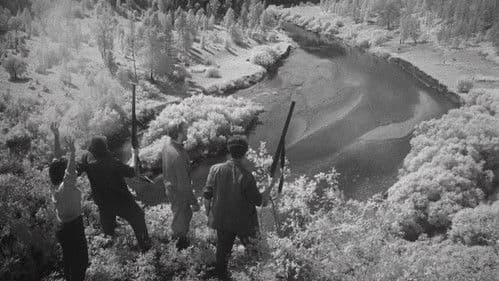 Ein Brief, der nie ankam Bild 8