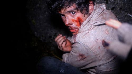 A Night in the Woods Bild 1