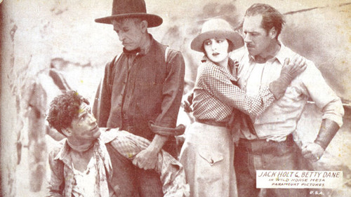 Wildpferde der Mesa Bild 1