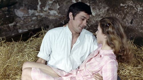 Der Sträfling und die Witwe Bild 6