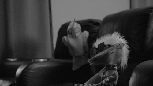 Le Pretentious Filme Bild 1