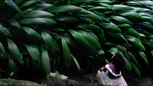 O Céu Não Sabe Meu Nome Bild 2