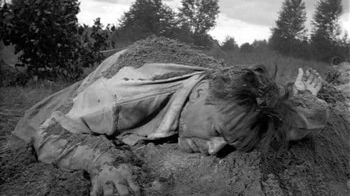 Ein Menschenschicksal Bild 5