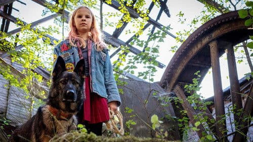 Susikoira Roi Bild 1