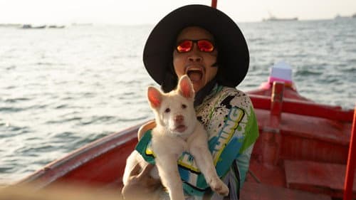 โกฮัง..หัวใจโกโฮม Bild 6