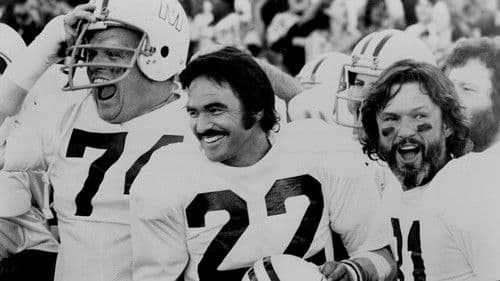 Zwei ausgebuffte Profis Bild 3