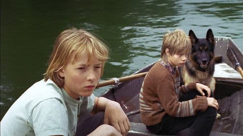 Susikoira Roi - seikkailu saaristossa Bild 1