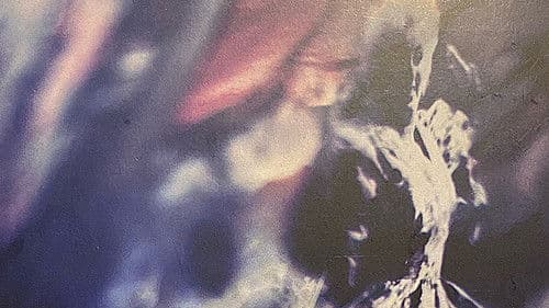 Karin Bloemen: Bosje Bloemen Bild 1