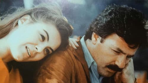 Bu Şehrin Geceleri Bild 4