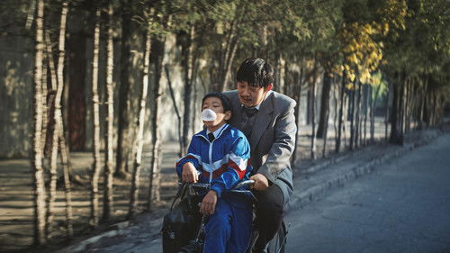 平原上的摩西 Bild 2