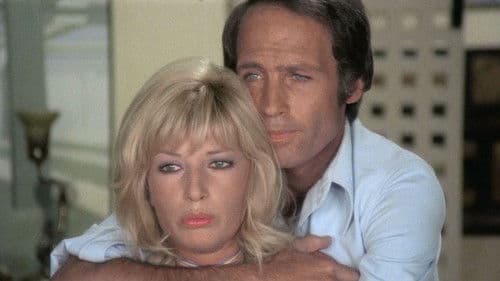 Ente auf Orange Bild 3