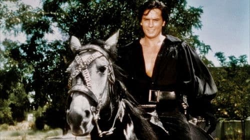 Die schwarze Tulpe Bild 2