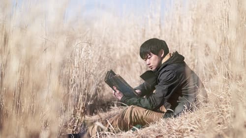 Ringu wandaringu Bild 1