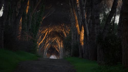 Marcia su Roma Bild 8