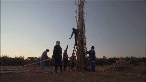 Campo Grande é o Céu Bild 2