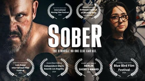 Sober: The Struggle No One Else Can See Bild 1