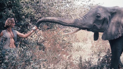Ein Leben unter Elefanten Bild 2