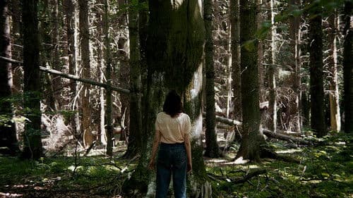 Sange i solen Bild 2