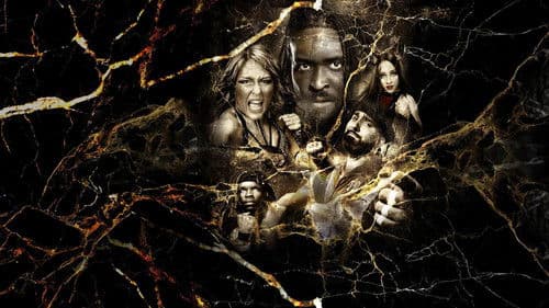 NXT Vengeance Day 2025 Bild 1