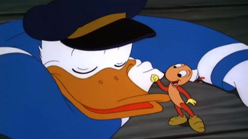 Die Seebären Bild 1