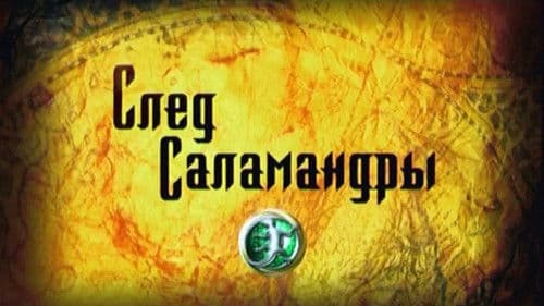 След саламандры Bild 1