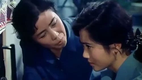 飞行交响乐 Bild 1