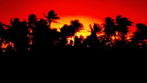 The Making of 'Jurassic Park' Bild 3