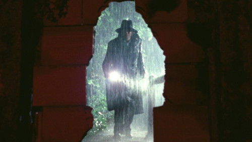 Die Grotte der vergessenen Leichen Bild 7