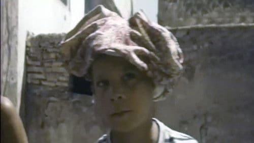 Les Moineaux d'Algérie Bild 5