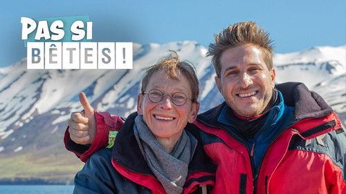 Pas si bêtes ! Bild 1